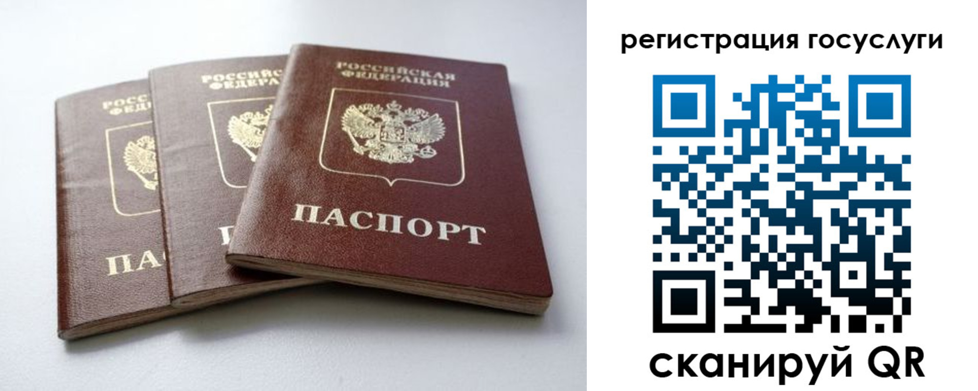 прописка 2025 в Химках
